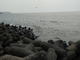 Screenshot-2025-12-06-080810