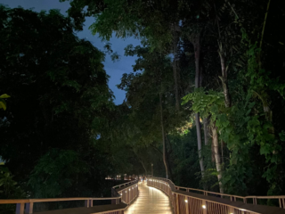 Screenshot-2025-12-06-081511