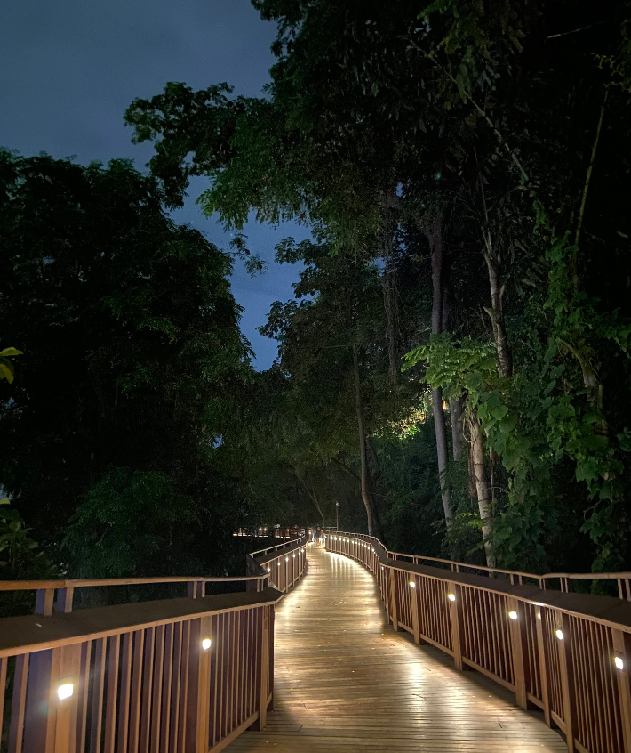 Malabar Hill Elevated Nature Trail